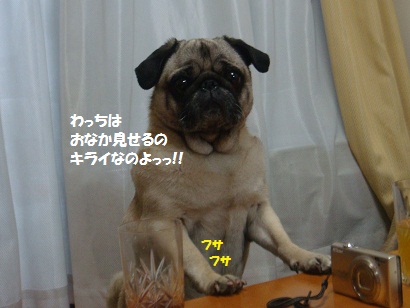 DSC07577.jpg