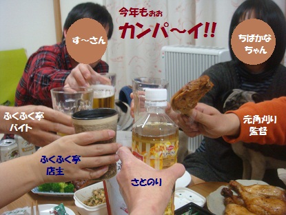 DSC07984_20130103160658.jpg