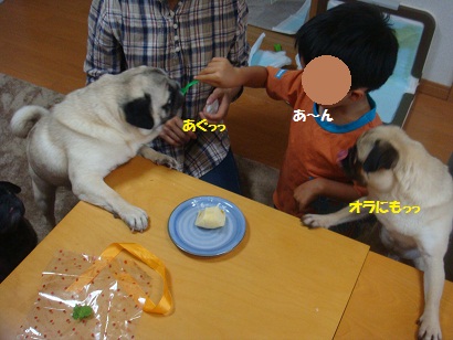 DSC08309.jpg