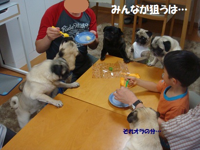DSC08349_20121116032311.jpg