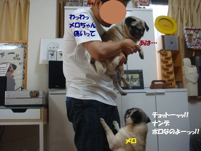 DSC09115.jpg