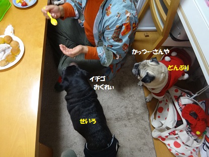 DSC09447.jpg