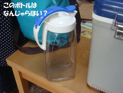 DSC09504.jpg