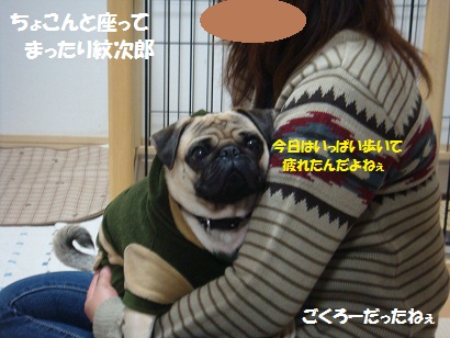 PMBS9938.jpg