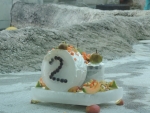 DSCN1730.jpg