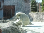 DSCN1746.jpg