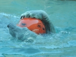 DSCN1764.jpg