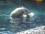 DSCN1777.jpg
