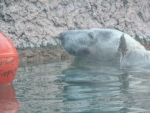 DSCN1795.jpg