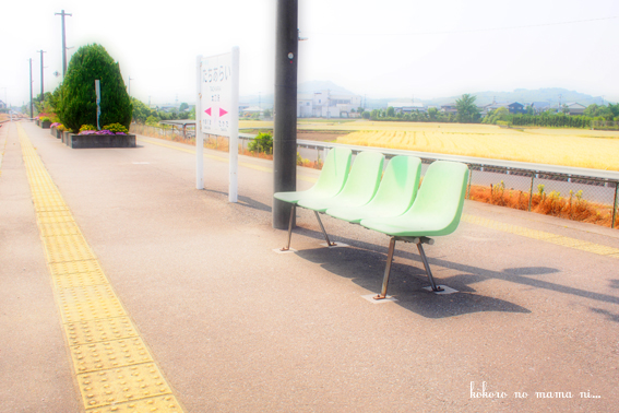 0524_8.jpg