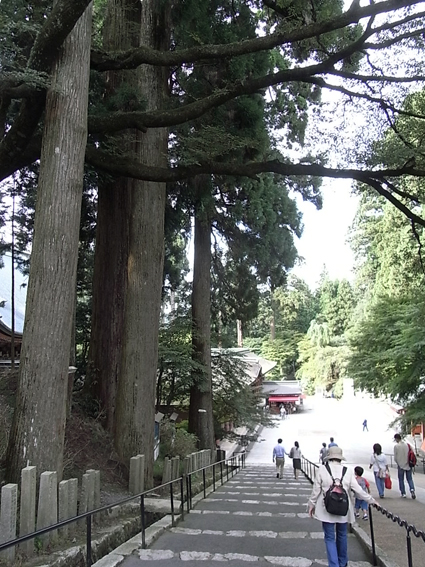 2010100909001848d.jpg