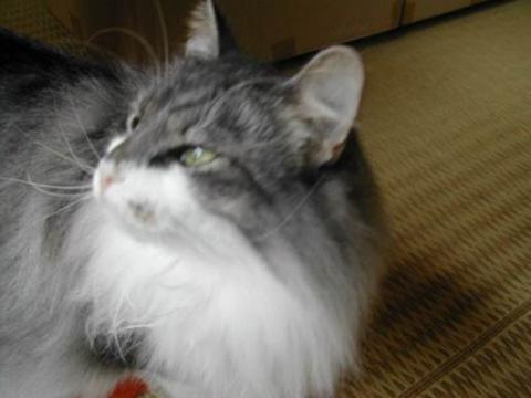 !cid_image001_jpg@01CD3D04.jpg