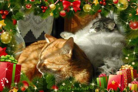 !cid_image001_jpg@01CDE229.jpg