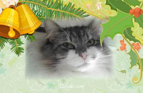 !cid_image002_jpg@01CDE229.jpg