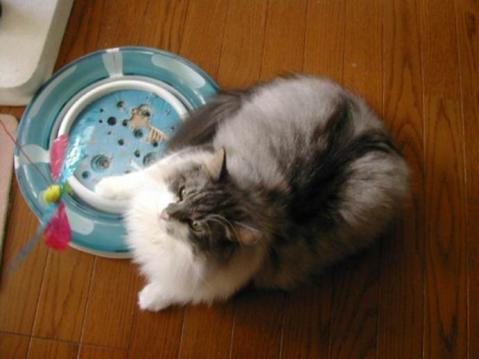 !cid_image020_jpg@01CD94C1.jpg