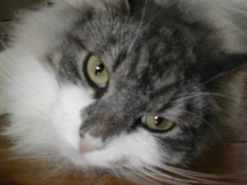 !cid_image021_jpg@01CD94C1.jpg