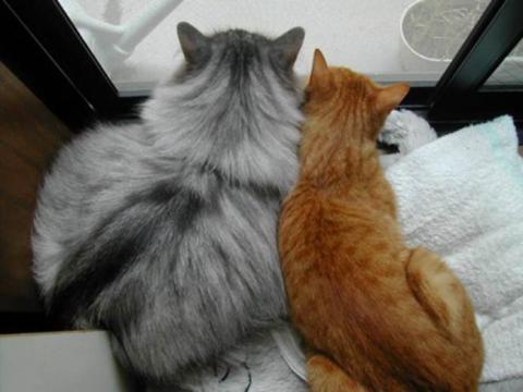 !cid_image027_jpg@01CD94C1.jpg