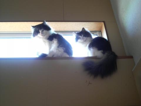 2011060206500000_20121001154032.jpg