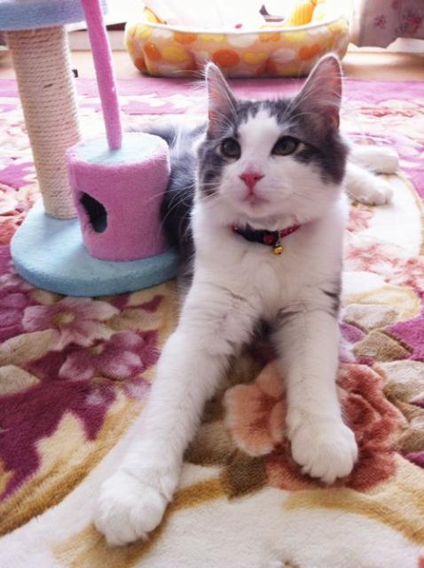 CAT0PMDJ.jpg