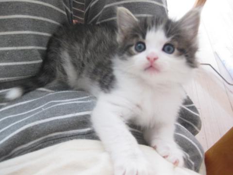 IMG_1969_20120818220024.jpg
