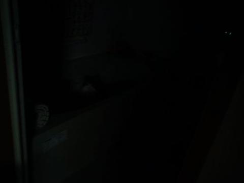 IMG_20120820_211242.jpg