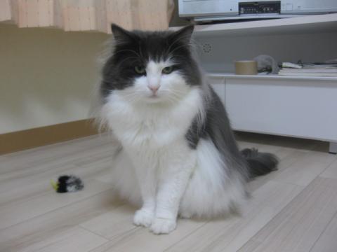 IMG_5074_20121215222355.jpg