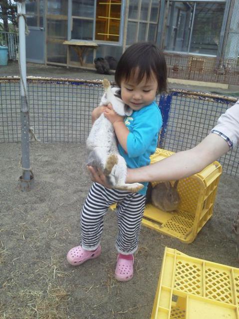 NEC_0392.jpg