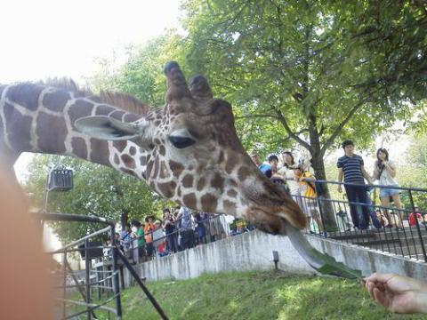 NEC_0714_20120819214329.jpg