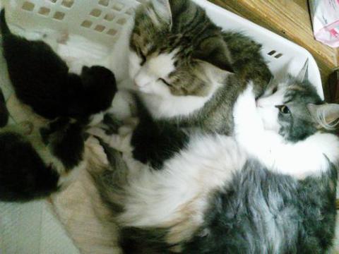 NEC_0967_20120910203323.jpg
