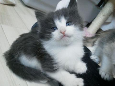 NEC_1575_20121013174404.jpg