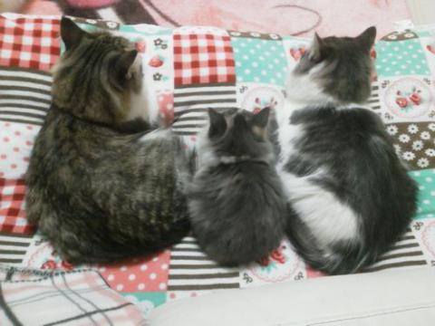 NEC_1793_20121210092309.jpg