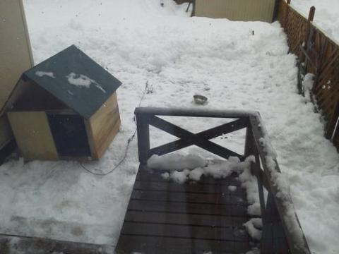 NEC_1858_20121210162233.jpg