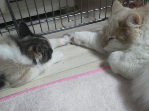NEC_1882_20121215224536.jpg