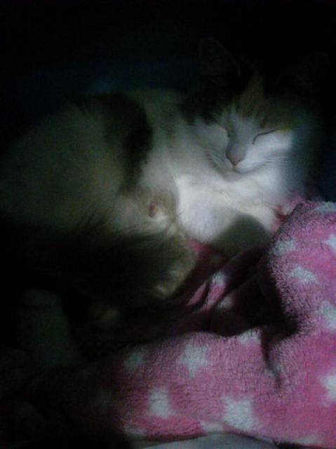 NEC_1892_20121224144800.jpg