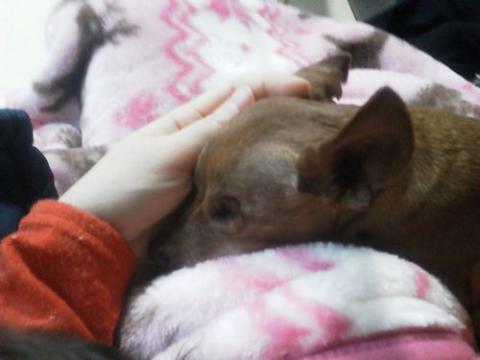 NEC_1990_20130114191608.jpg