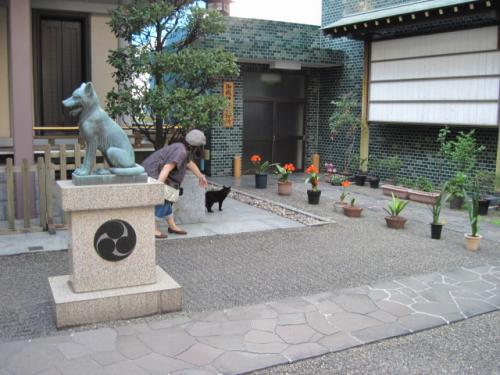 黒猫を追跡する私
