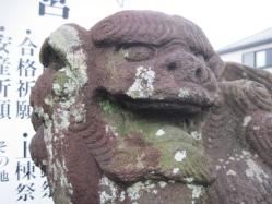 阿顔