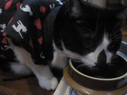 釜めしの入れ物で水を飲みます