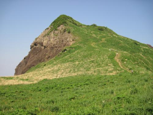 大野亀