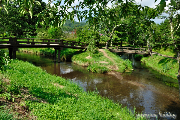 plum_0388_.jpg