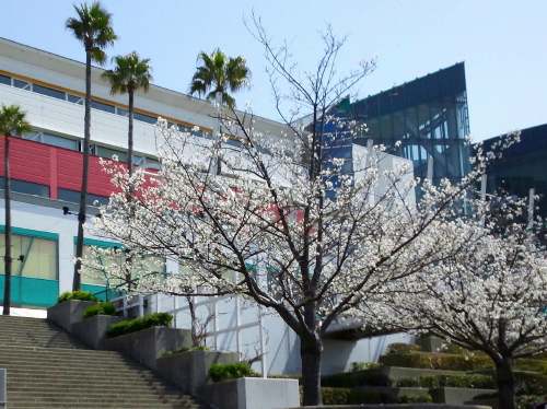 atc_201303311050.jpg
