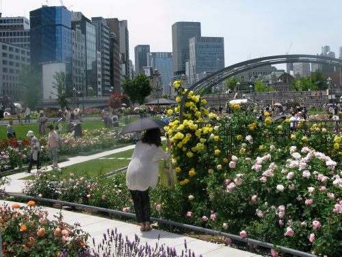 baraen_201305152004.jpg