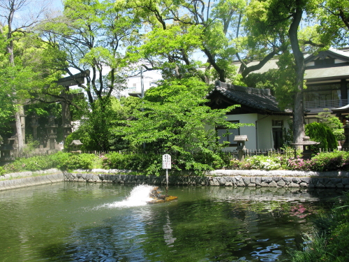 sumiyoshitaisya_201305072003.jpg