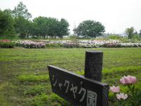 上市町