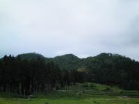 東種地区