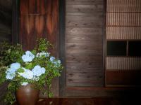 花の家