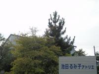 赤浜橋