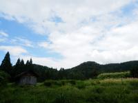 西種浅生