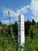 西種浅生