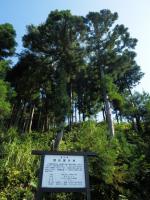 黒川